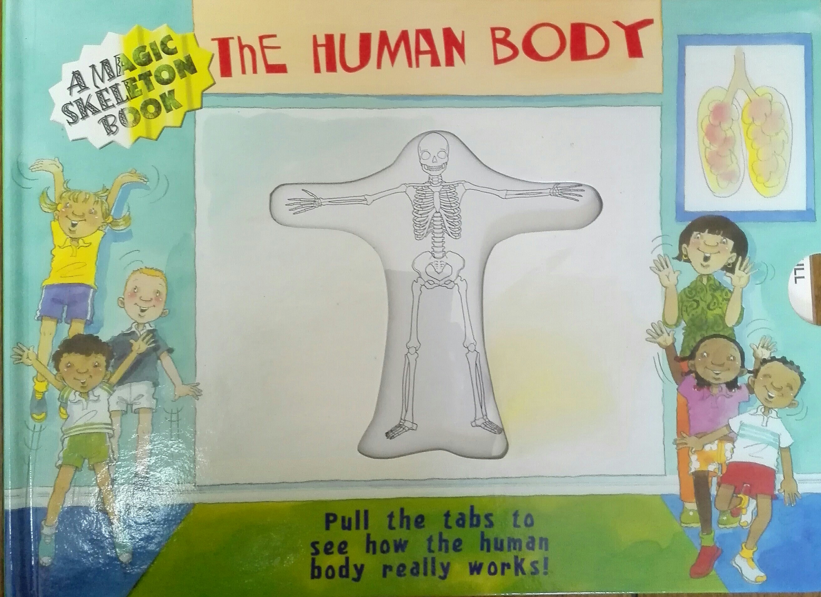 The  human  body