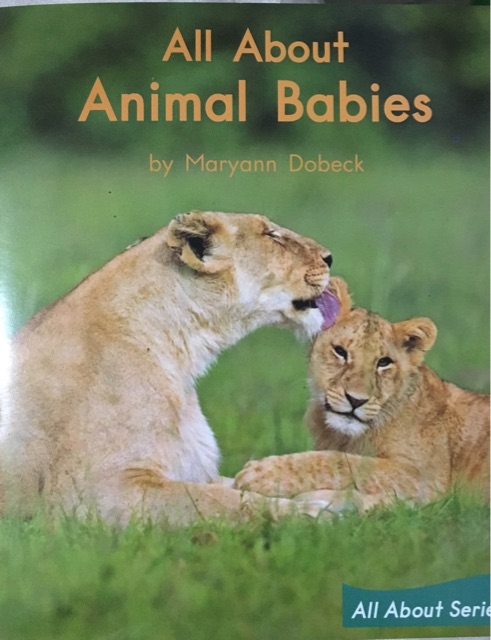 All About animals babies