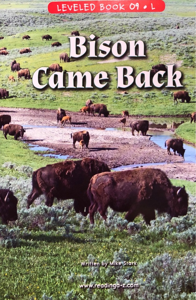 Bison Came Back