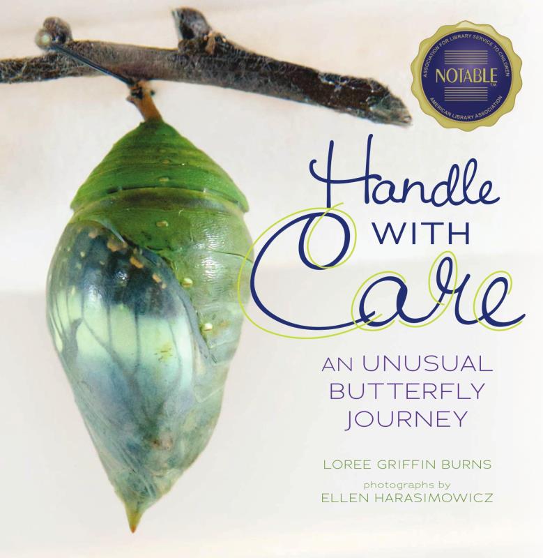 Handle with Care: An Unusual Butterfly Journey