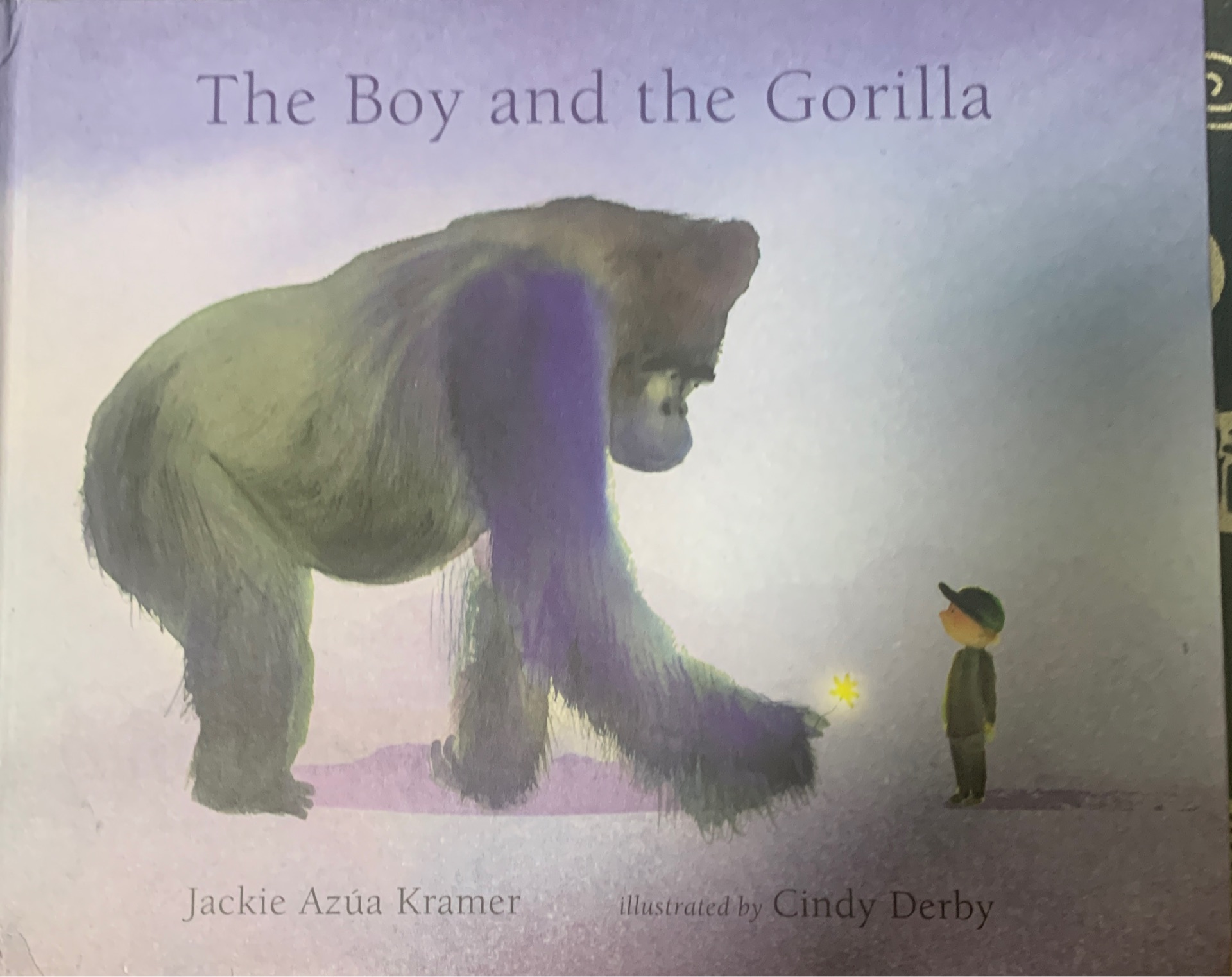 the boy and gorilla