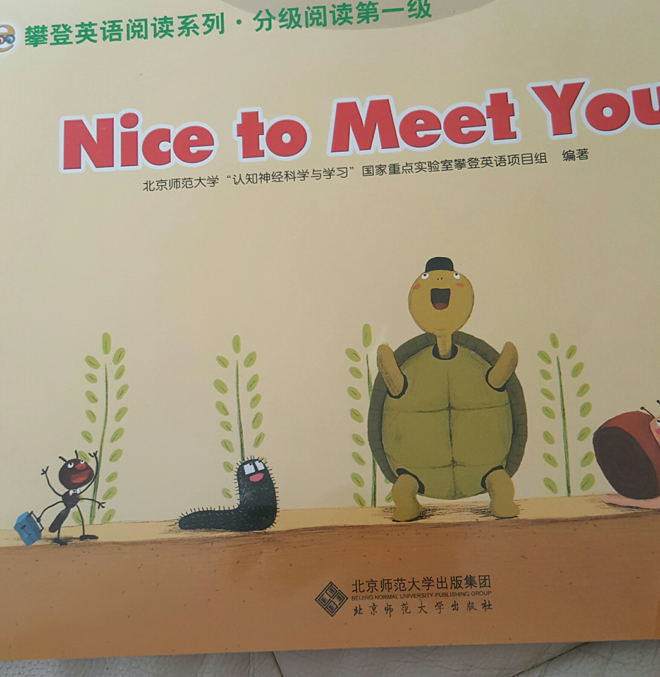 nice to meet you