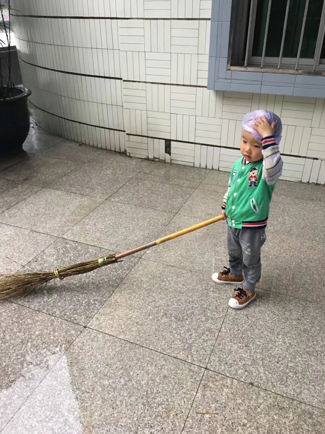羊兒入園記--（一