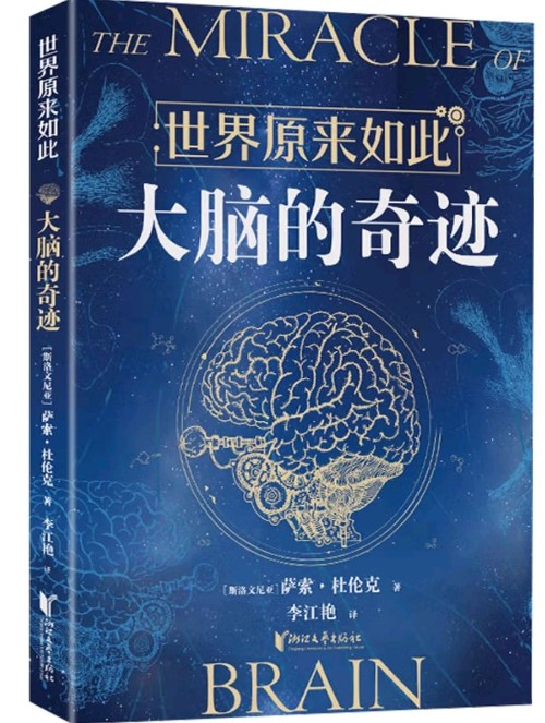 大脑的奇迹