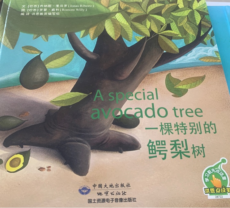 A special avocado   tree