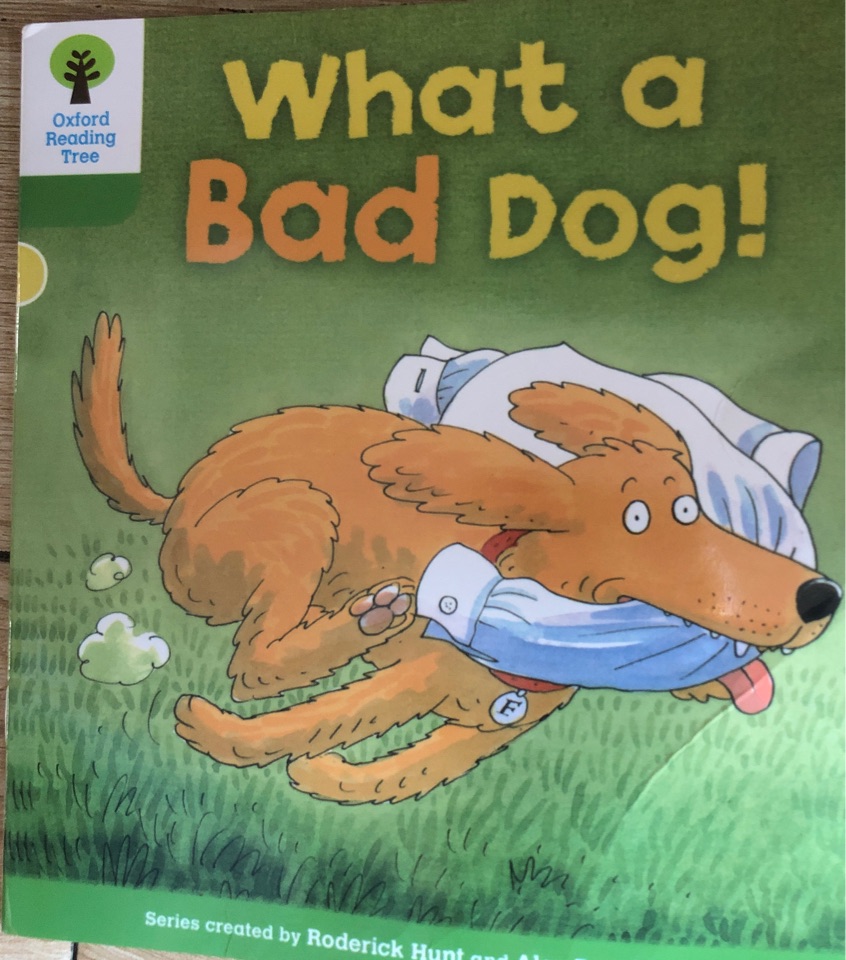 Oxford Reading Tree Stage 2-34 What a Bad Dog