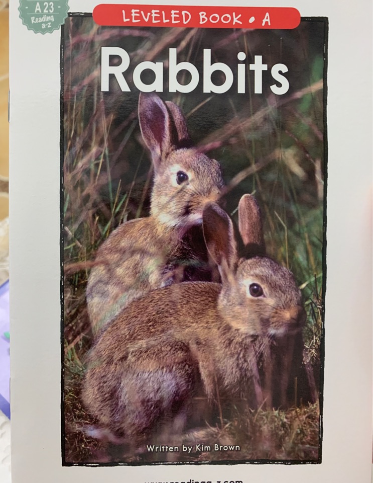 Rabbits