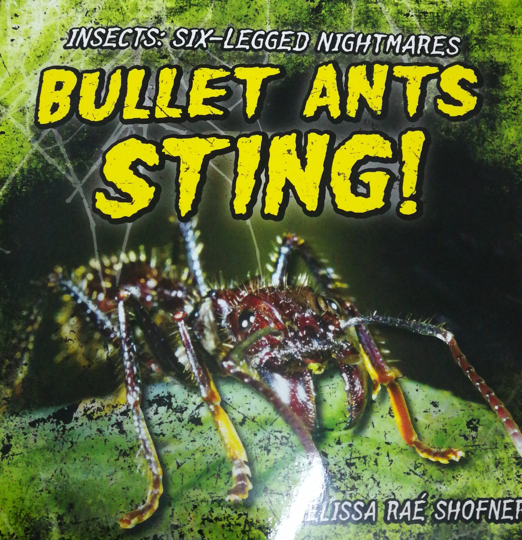 Bullet Ants Sting! (Insects: Six-Legged Nightmares)