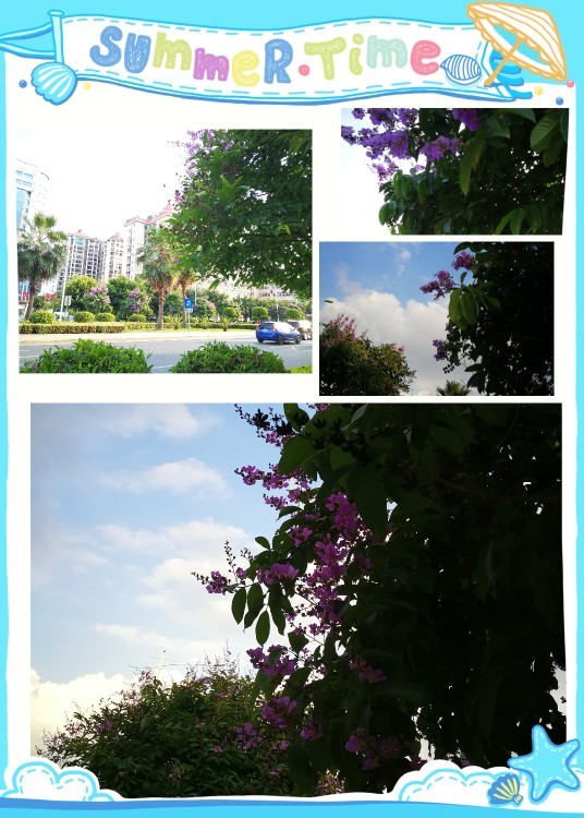 生如夏天