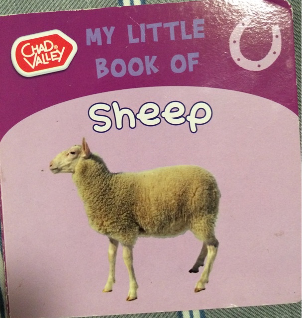 My little  book of  sheep