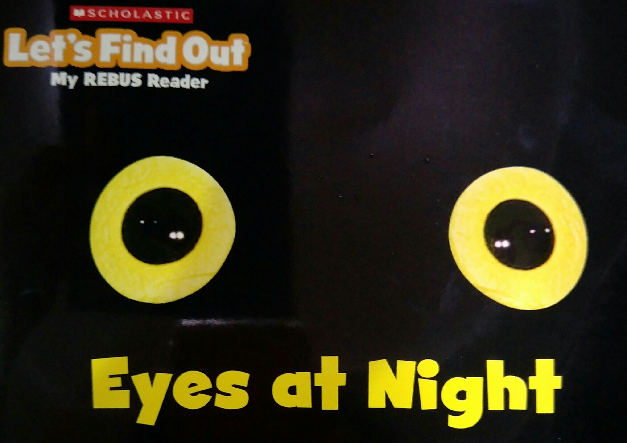 eyes at night