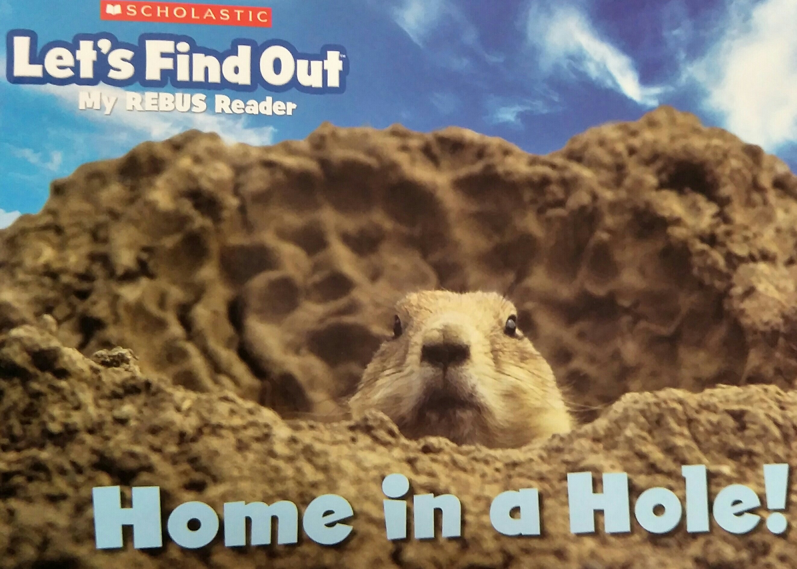 Home in a hole