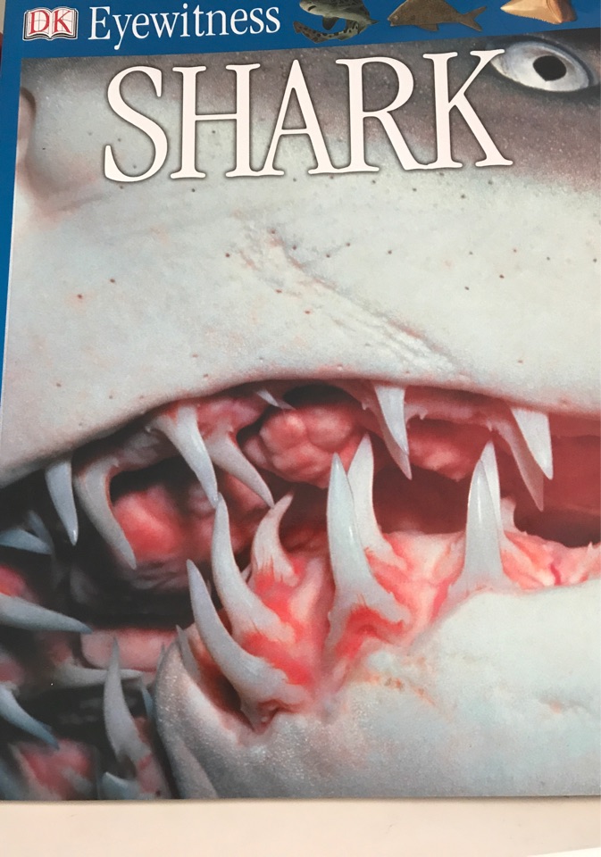 shark