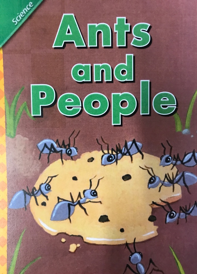 Ants and People