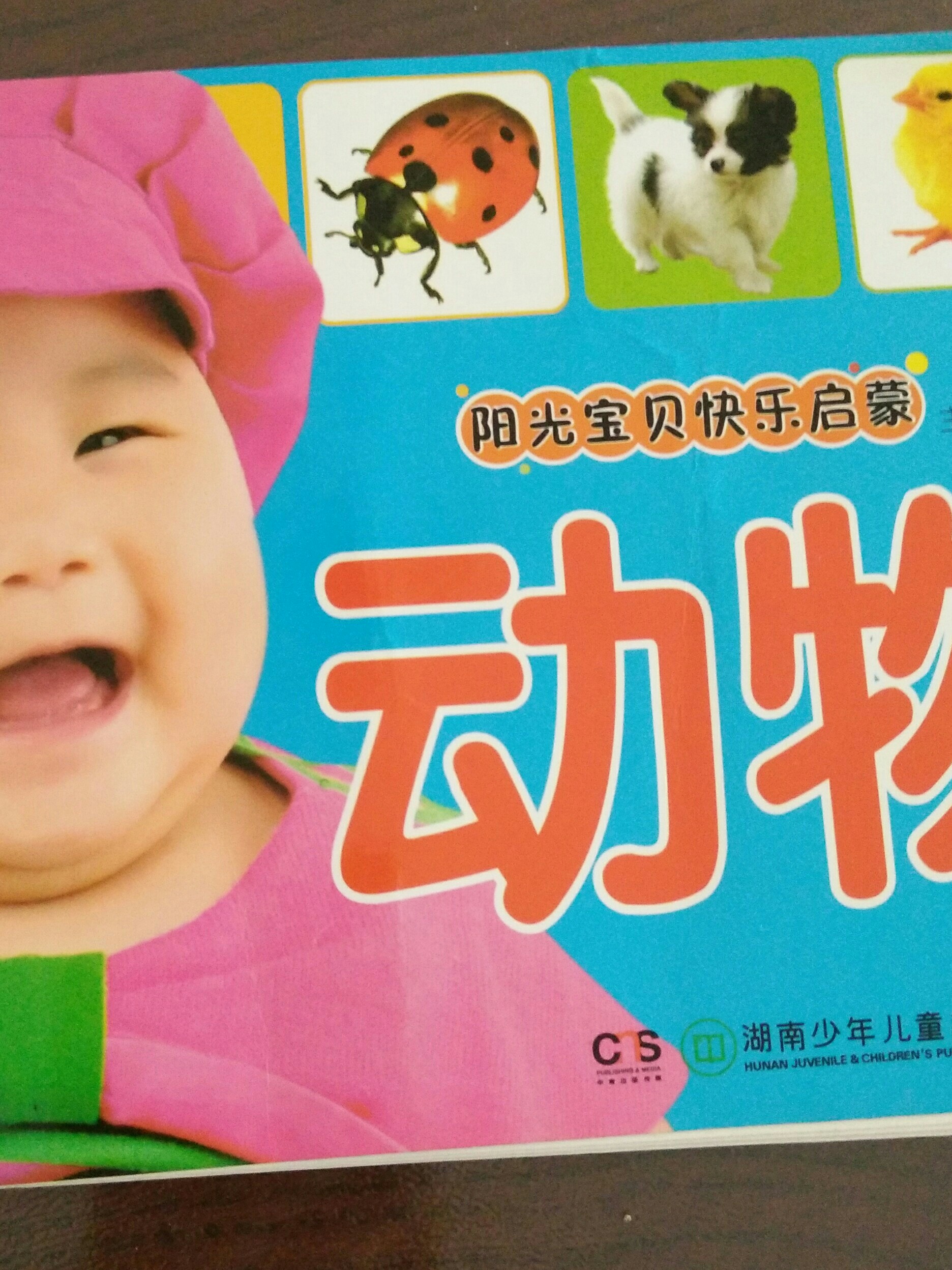 陽光寶貝快樂啟蒙  動物