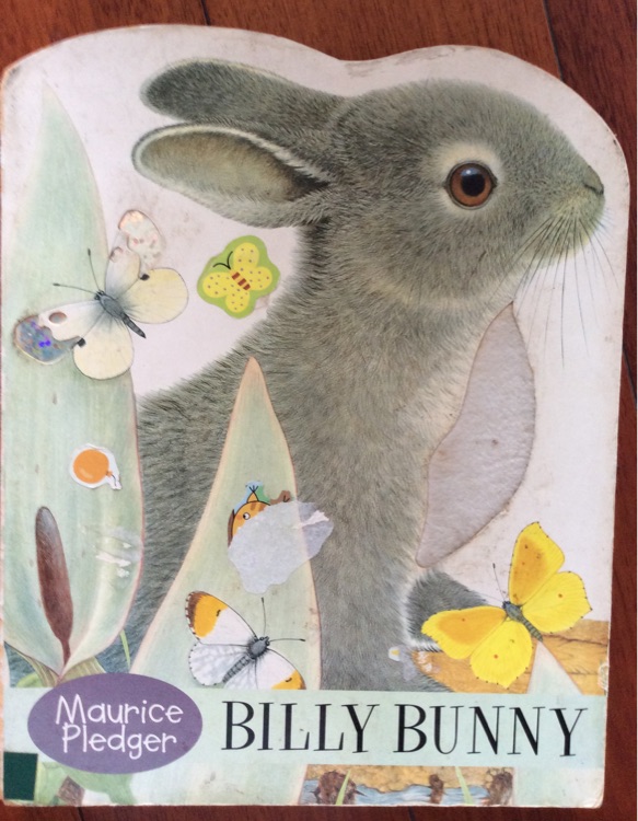 Billy Bunny