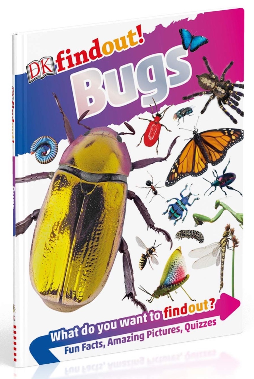 DK findout! Bugs