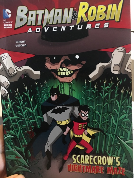 Batman Robin