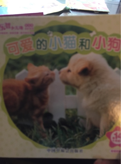 可愛的小貓和小狗