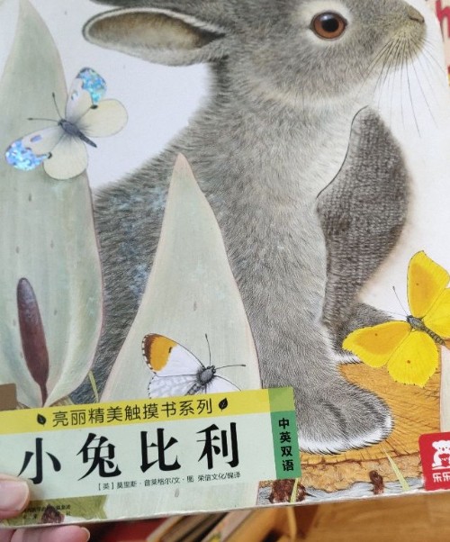 小兔子比利