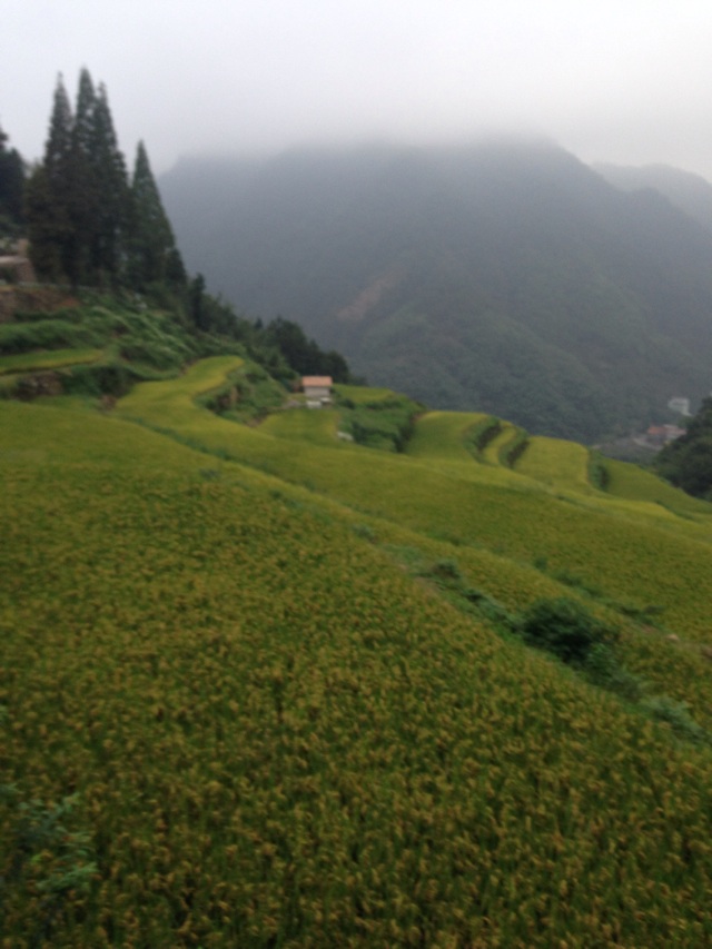 游指南山（8歲兒