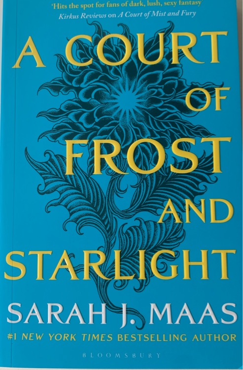 A court of frost and starlight