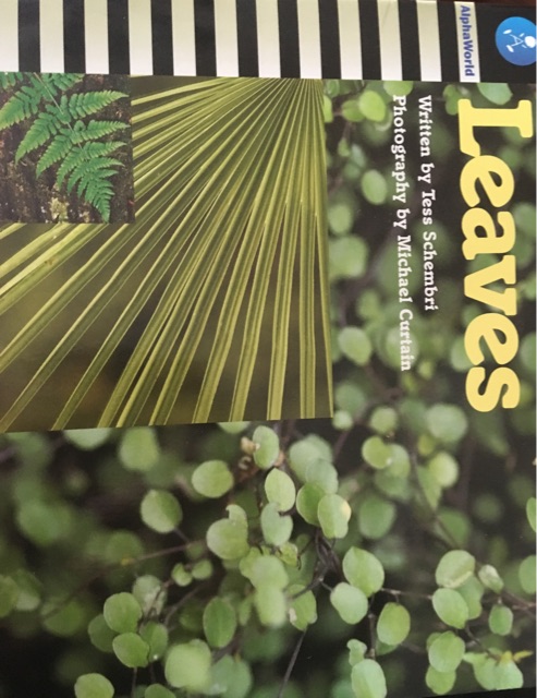 Leaves