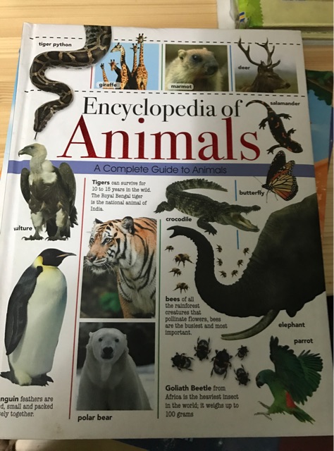 Encyclopaedia of  Animals