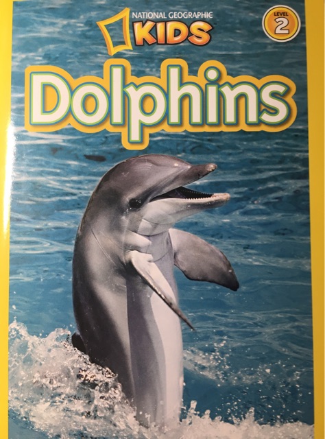 National Geographic Kids Dolphins