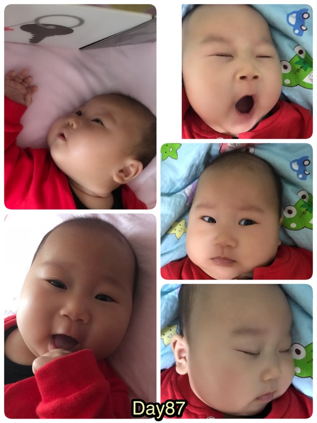 孔雀妹妹88天說…