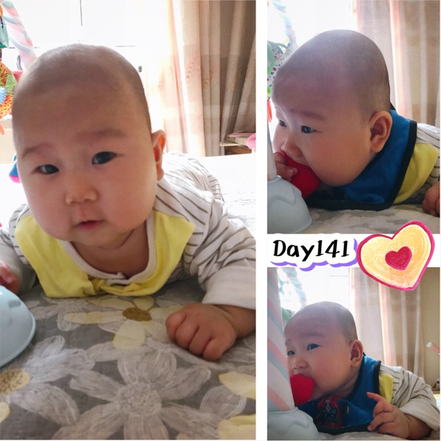 孔雀妹妹141天說