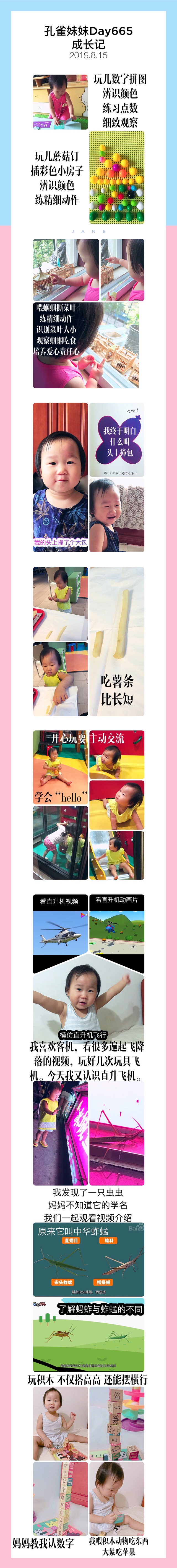 孔雀妹妹Day665成