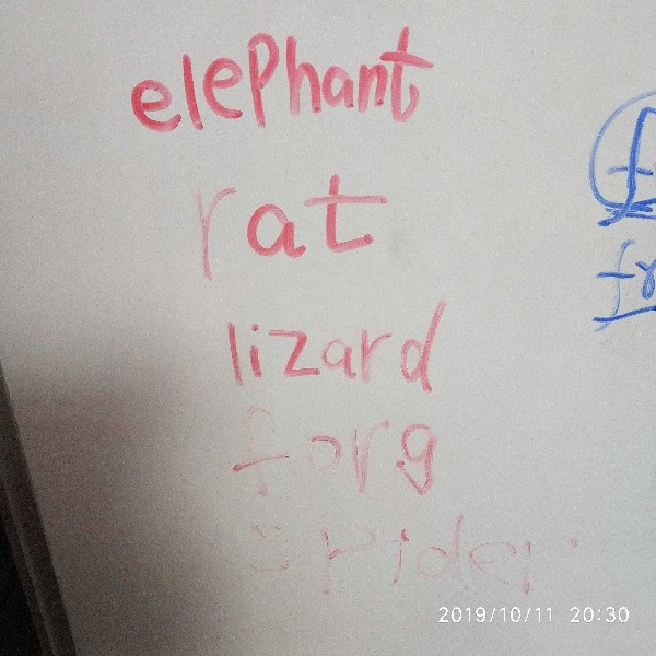 背單詞