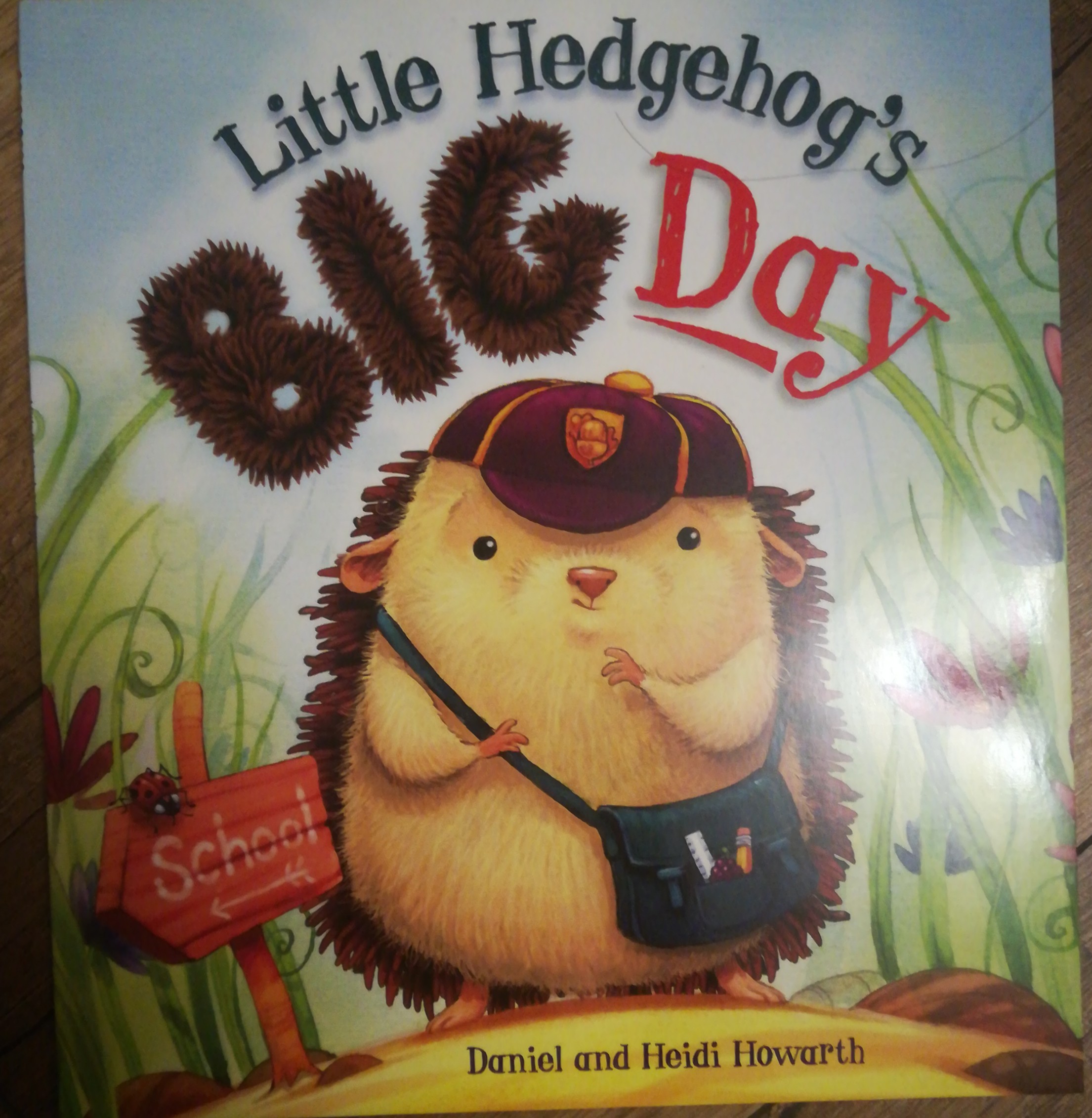 Little Hedgehog's big day