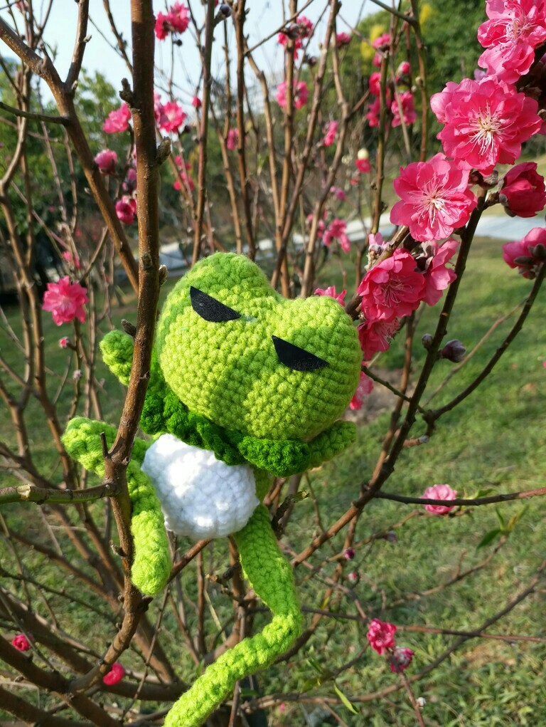 春风送暖出去遛蛙
