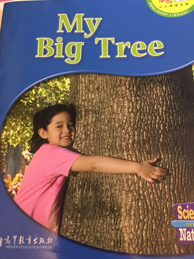 My Big Tree