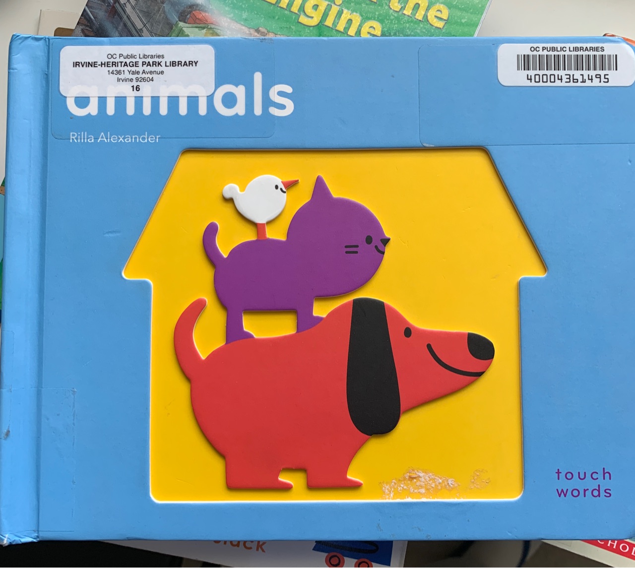 Animals