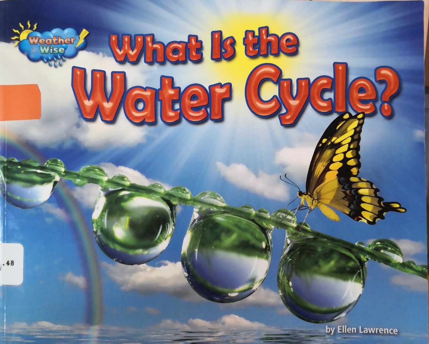 What Is the Water Cycle?