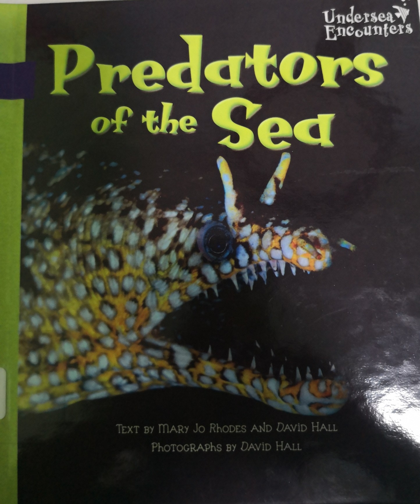 Predators of the Sea