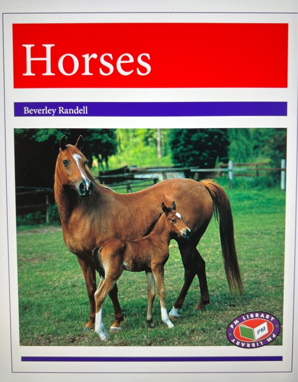 Horses