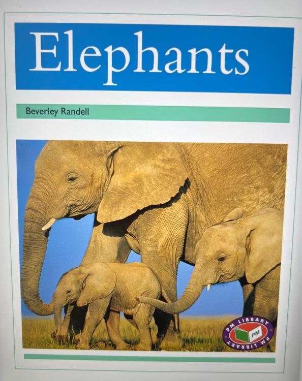 Elephants