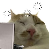 果呀呀