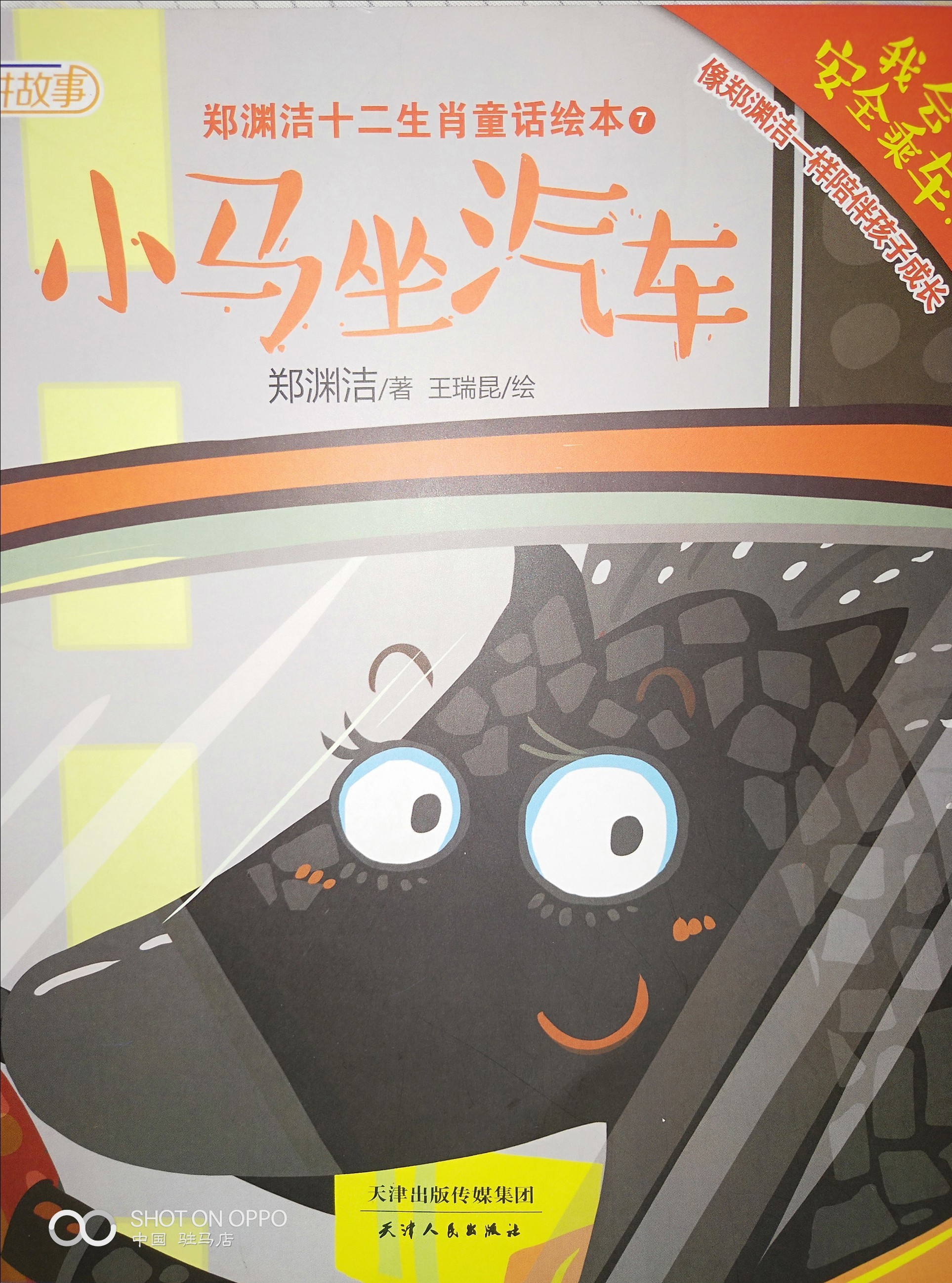 小馬坐汽車