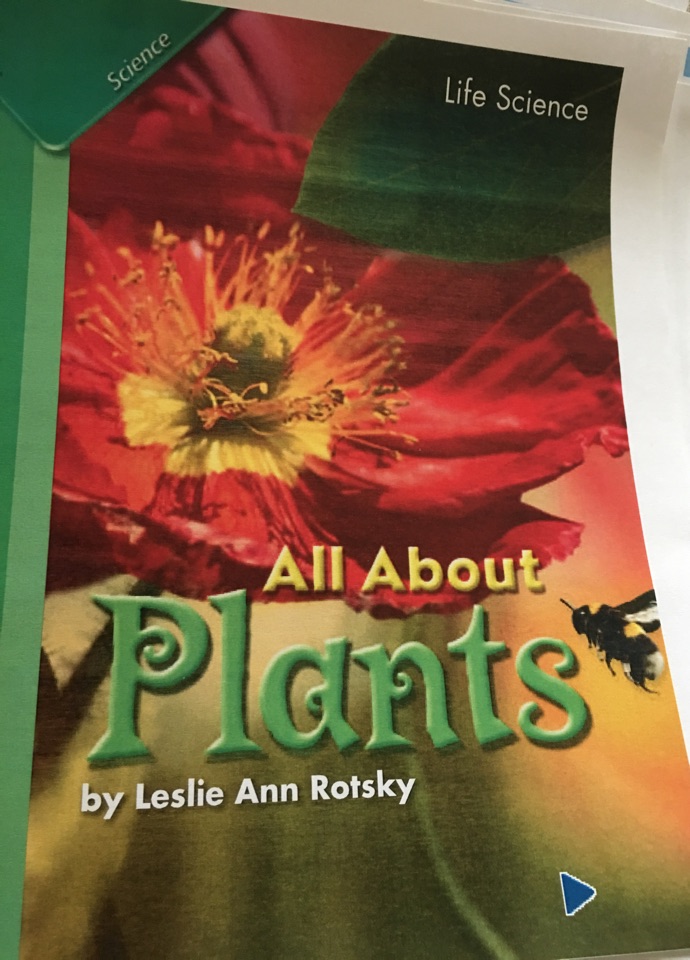 All About Plants