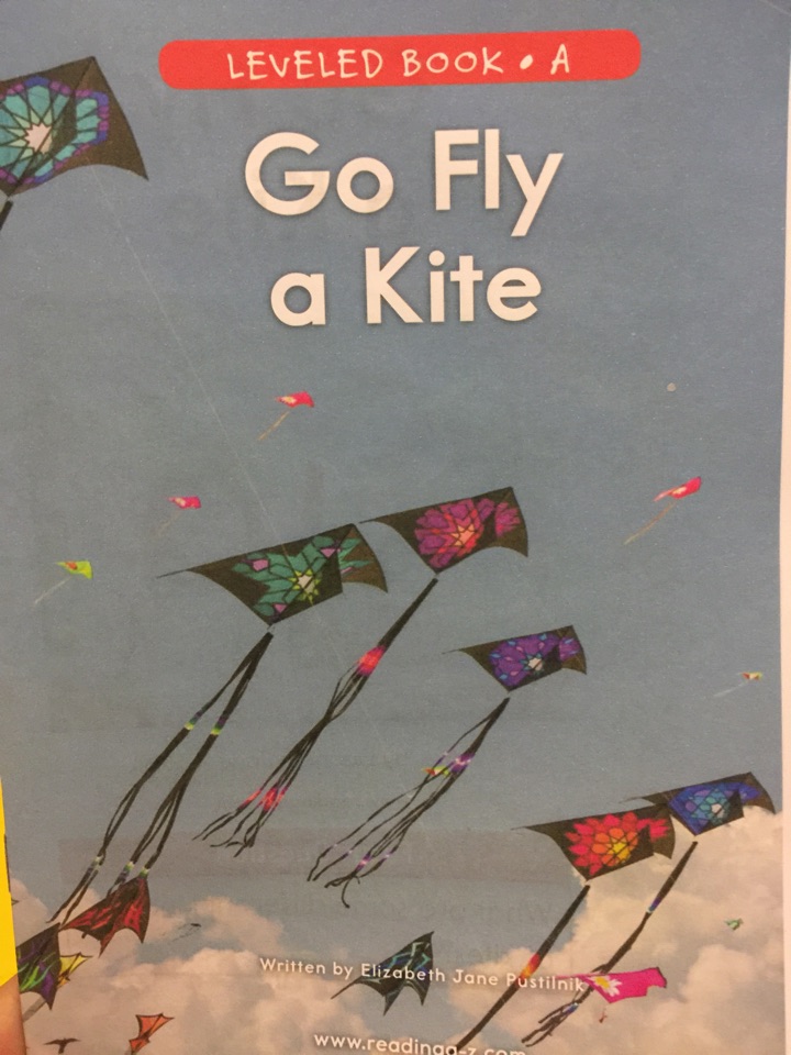 go fly a kite