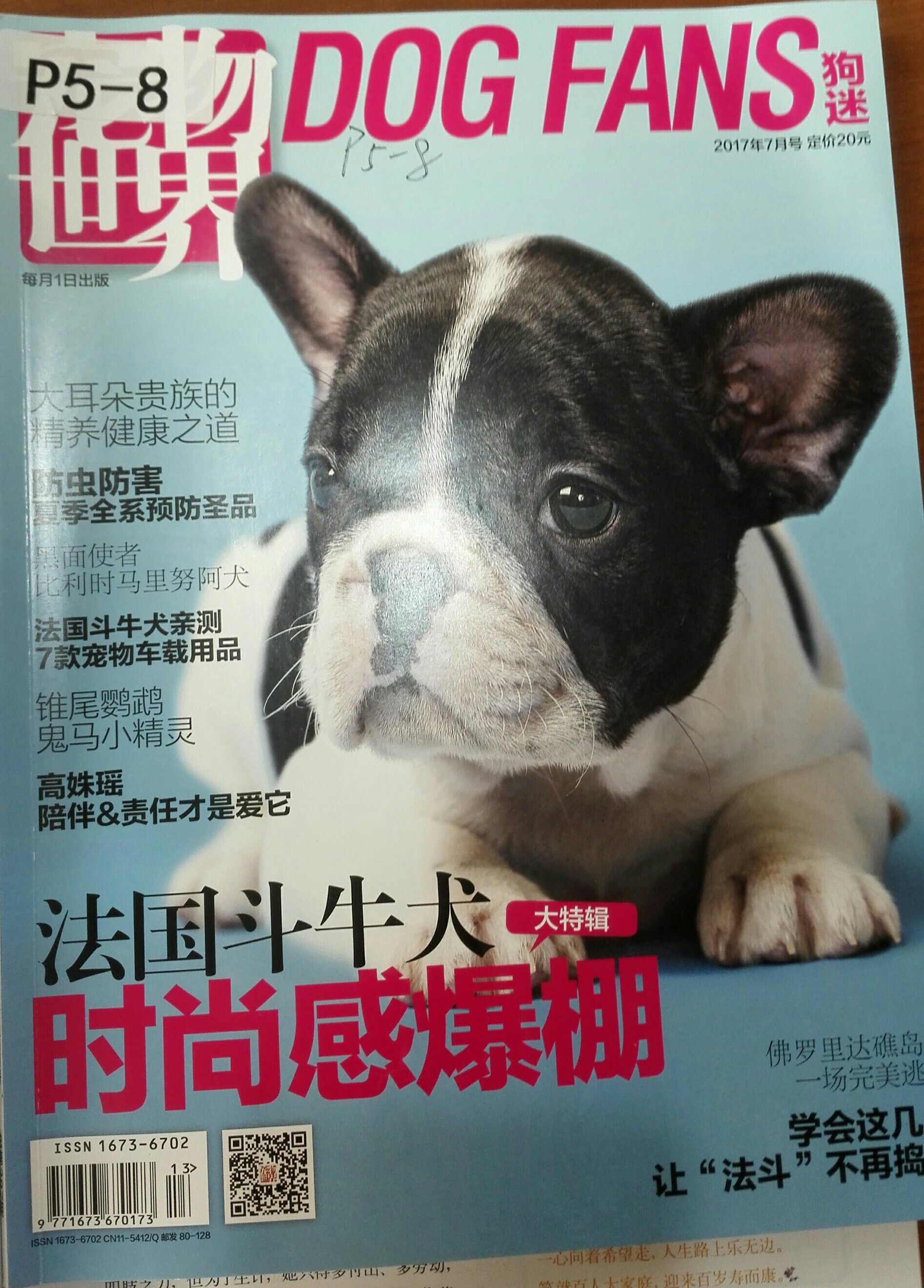 寵物世界狗迷2017年7月號(hào)