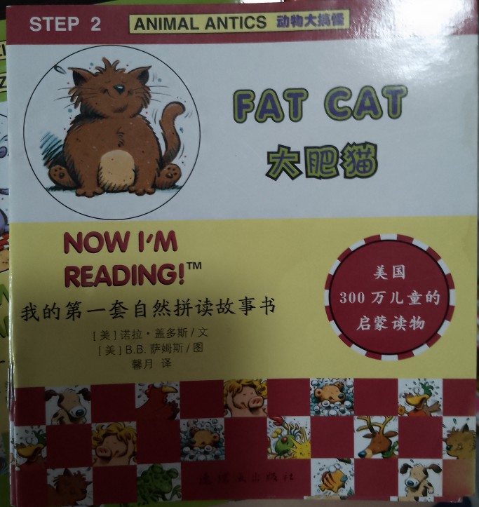 S2B1: fat cat