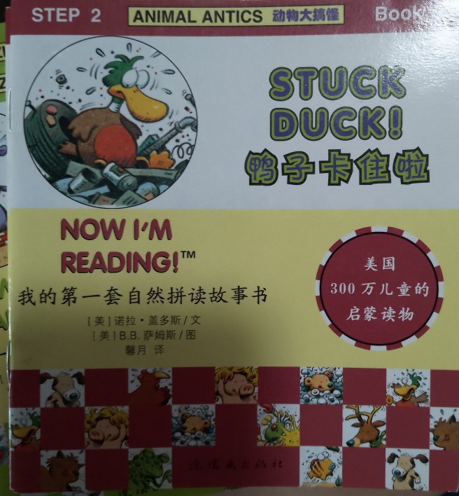 S2B9: stuck duck