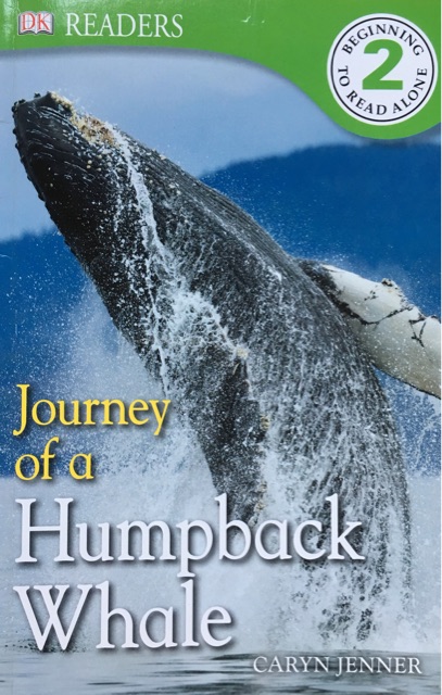 Journey of a Humpback Whale