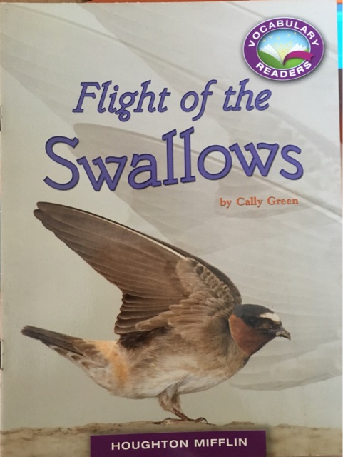 Flight of the Swallows